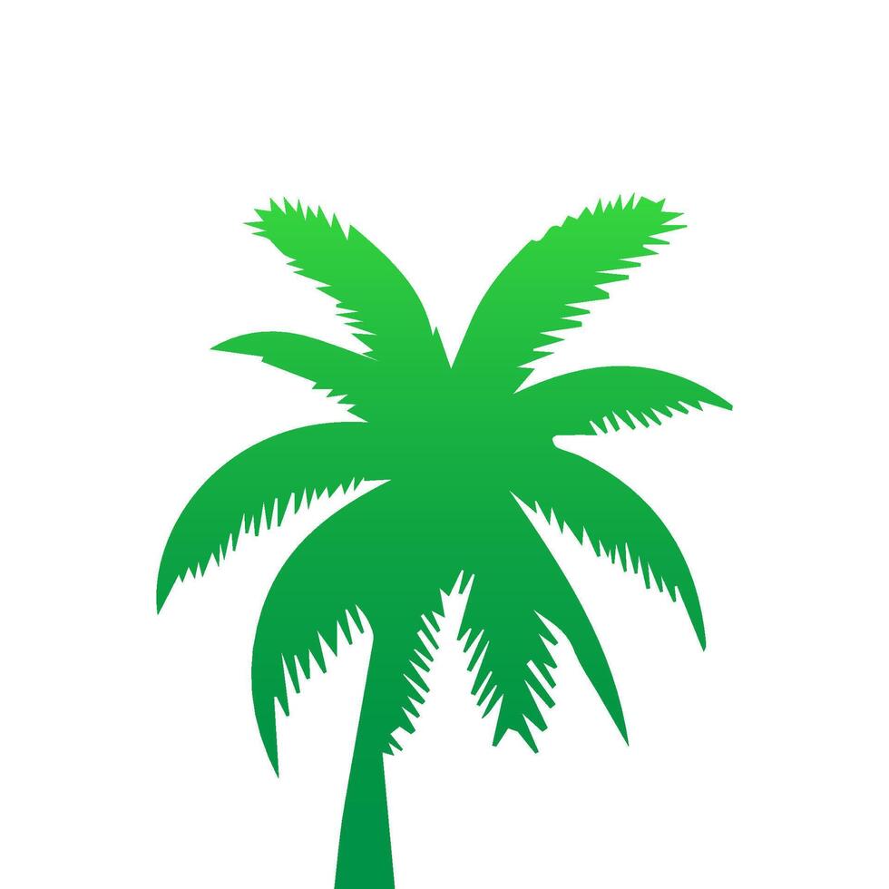 Green palm tree isolated on white background. Palm silhouette vector