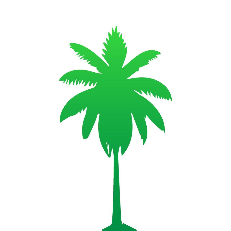 Green palm tree isolated on white background. Palm silhouette vector