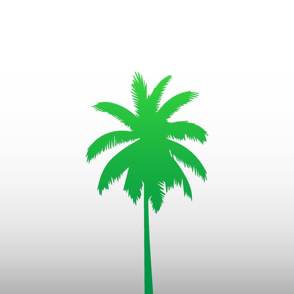 Green palm tree isolated on white background. Palm silhouette vector