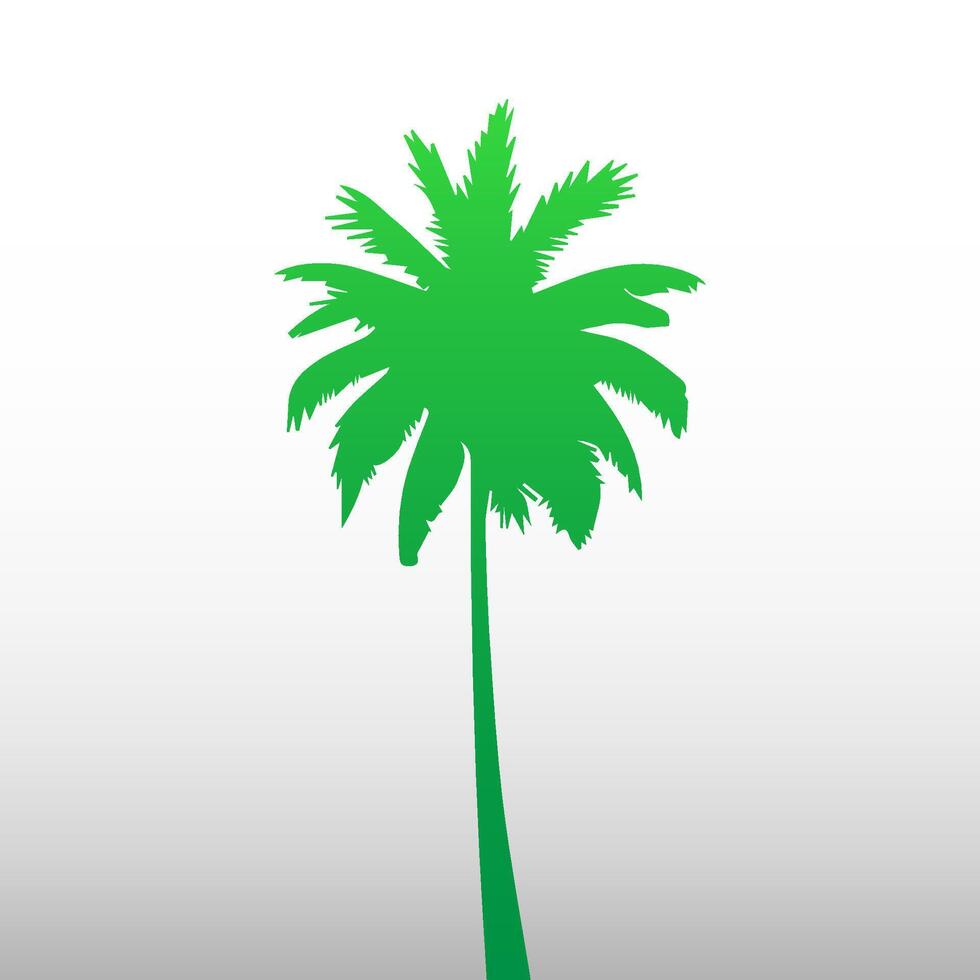 Green palm tree isolated on white background. Palm silhouette vector