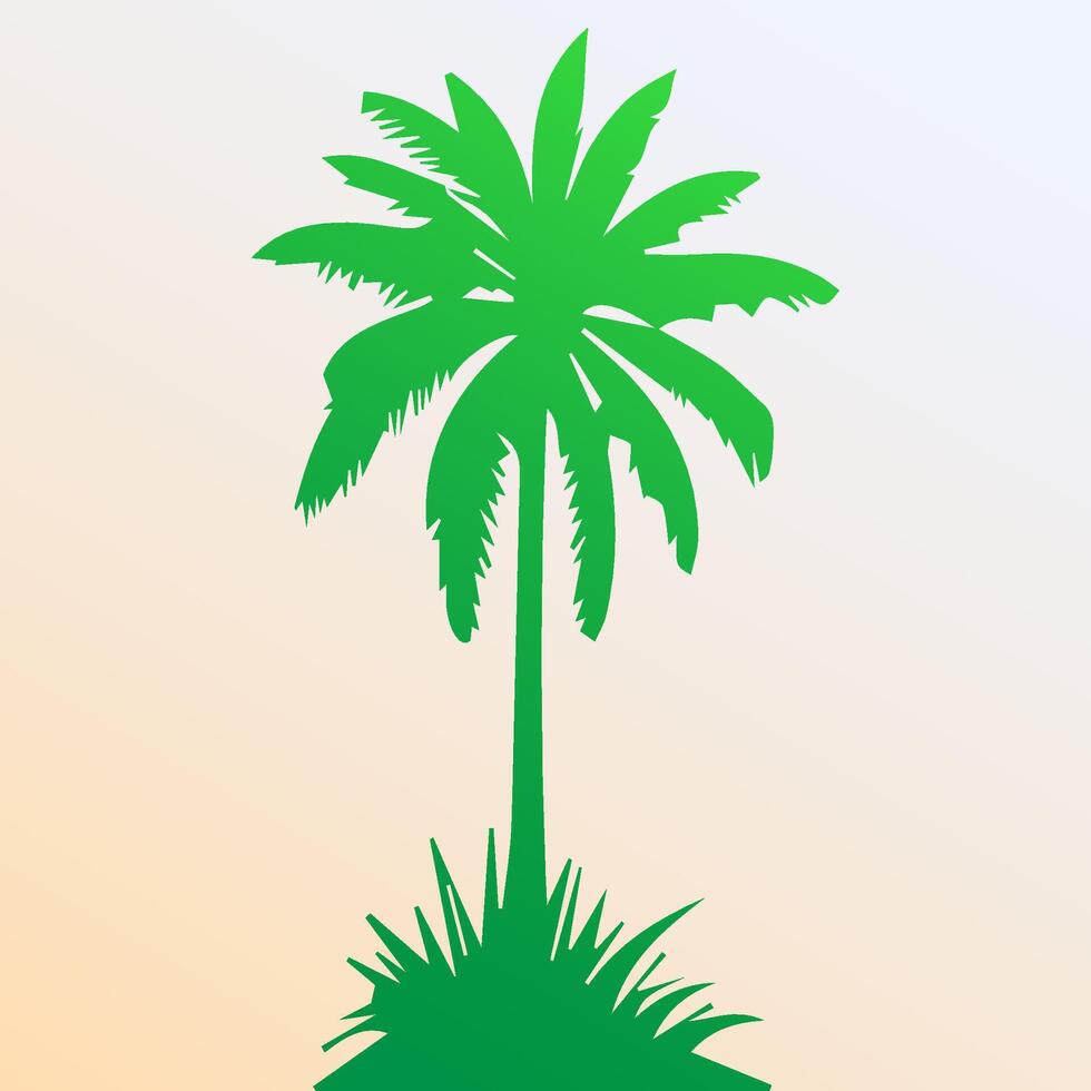 Green palm tree isolated on white background. Palm silhouette vector