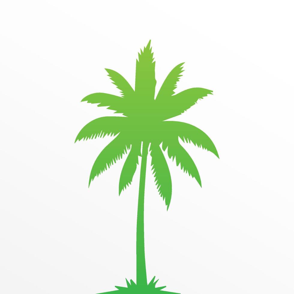 Green palm tree isolated on white background. Palm silhouette vector
