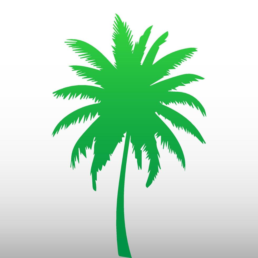 Green palm tree isolated on white background. Palm silhouette vector