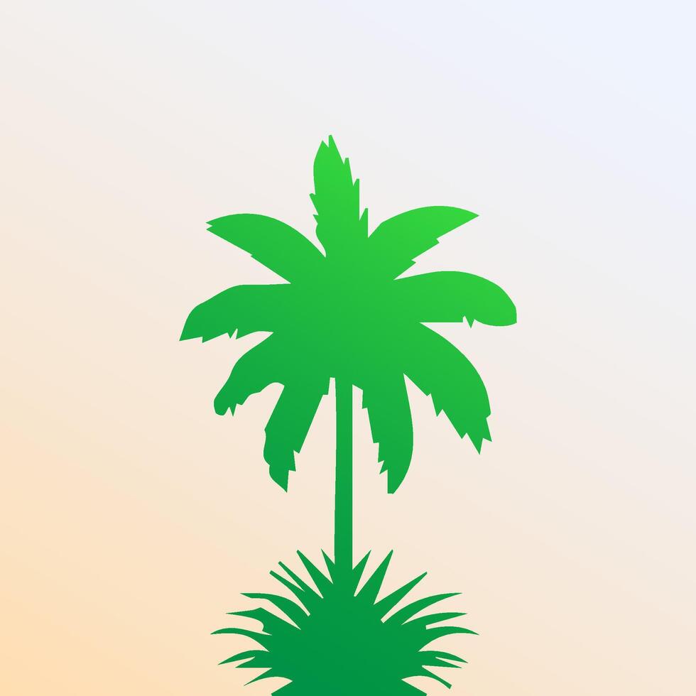 Green palm tree isolated on white background. Palm silhouette vector