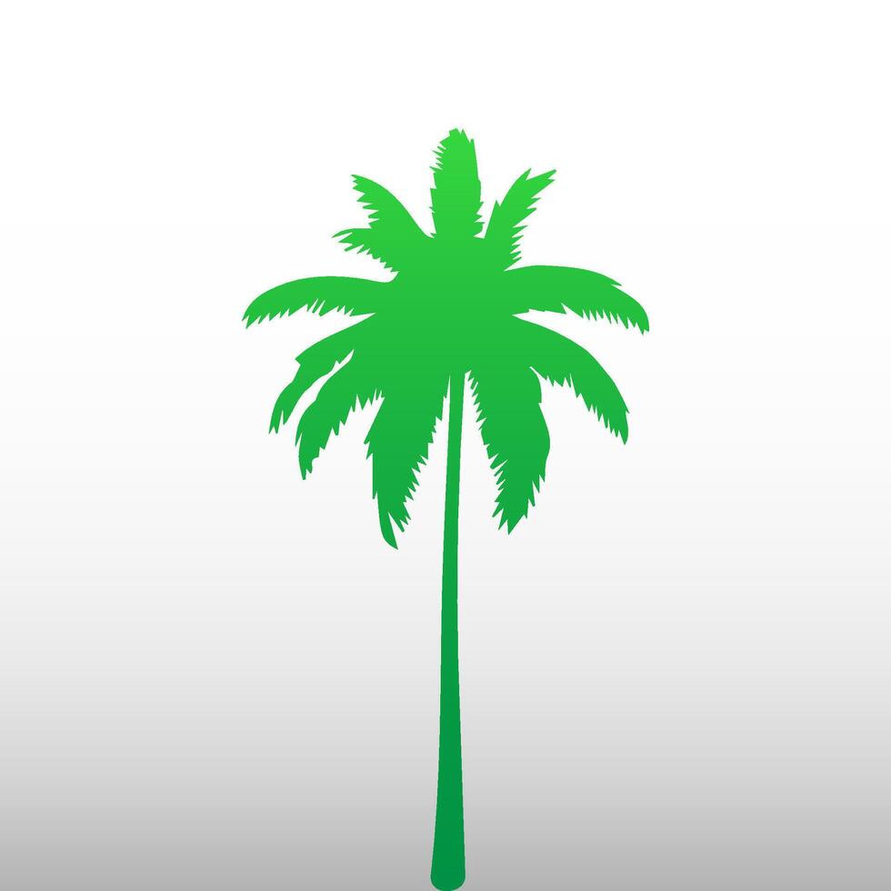 Green palm tree isolated on white background. Palm silhouette vector