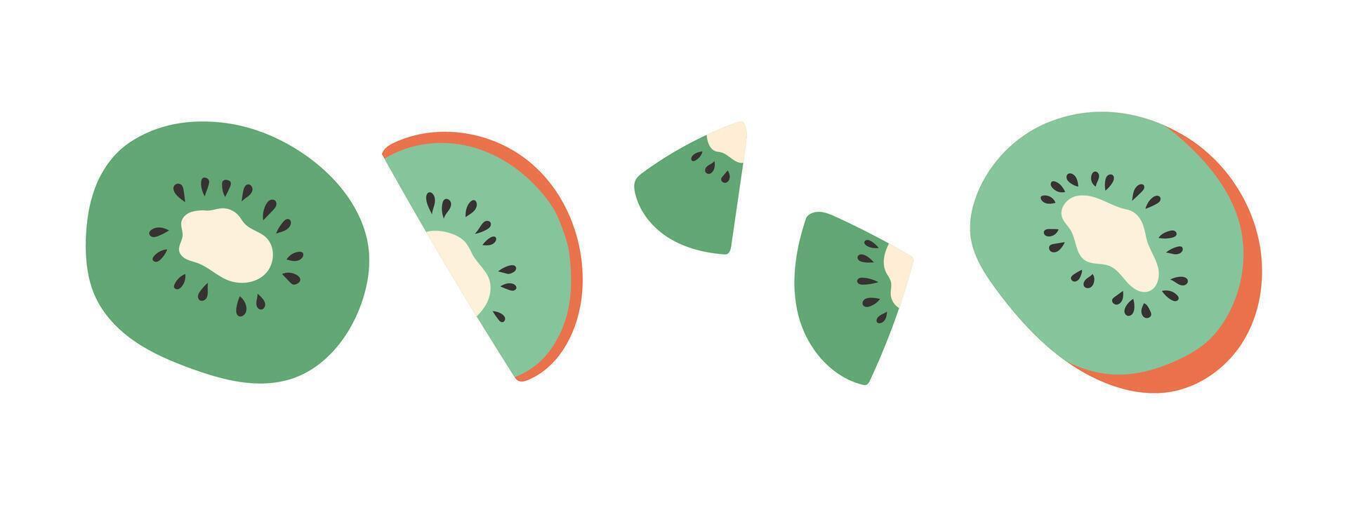 Set of abstract kiwi. Simple kiwi. Tropical fruit collection design for interior, poster, banner. vector