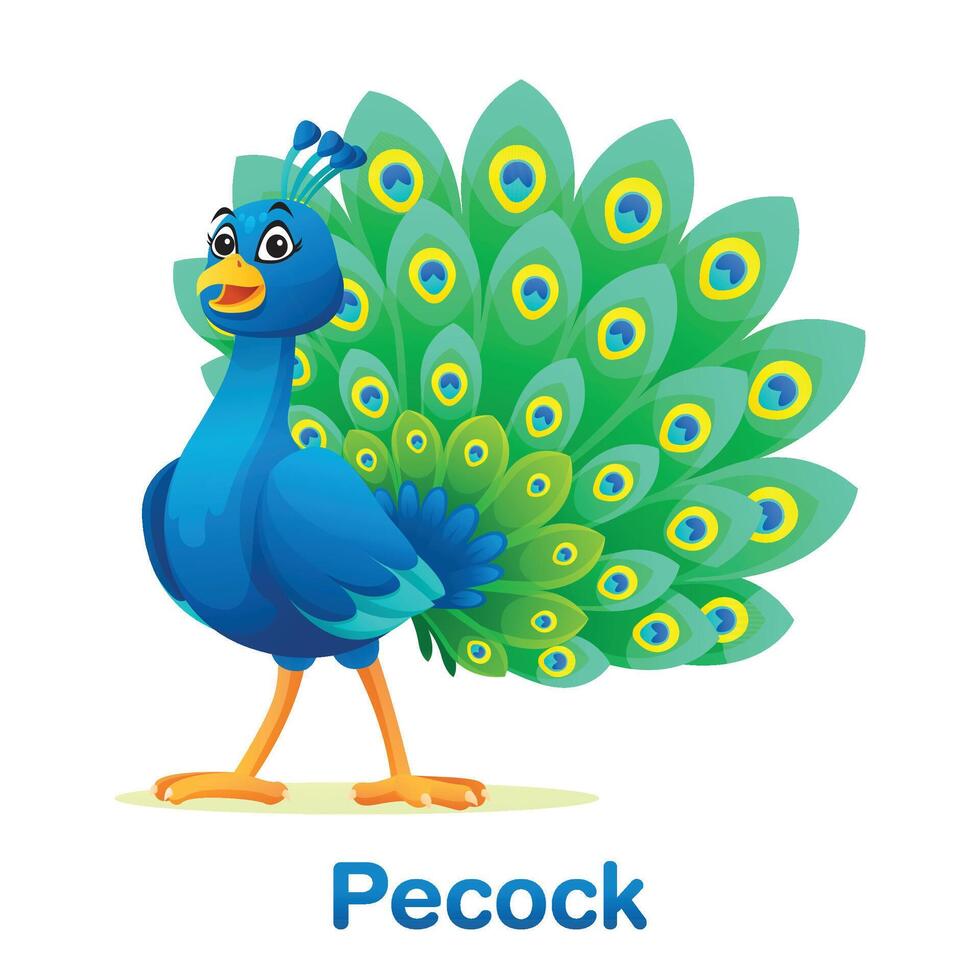 Beautiful peacock cartoon illustration isolated on white background vector