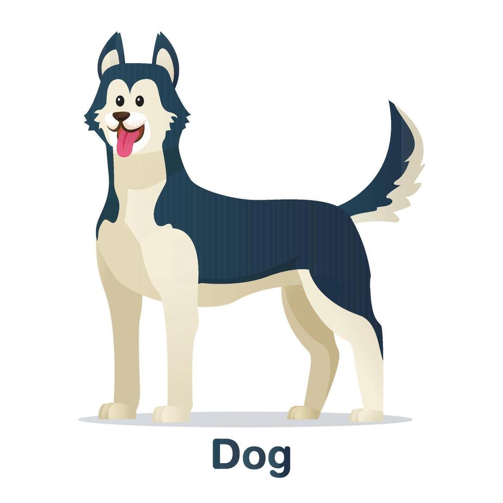Cute dog on a white background, pet sign. vector