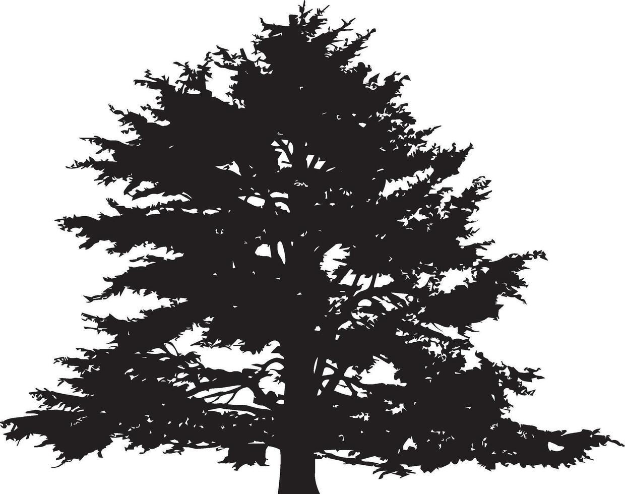 black and white lebanon cedar tree vector