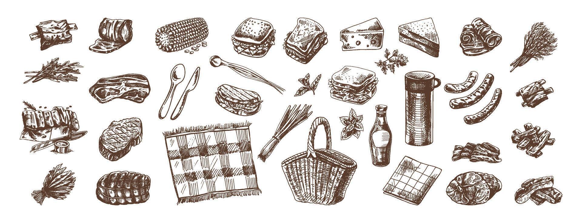A set of hand-drawn sketches of barbecue and picnic elements. For the design of the menu of restaurants and cafes, grilled food, meat. Doodle vintage illustration. Engraved image. vector