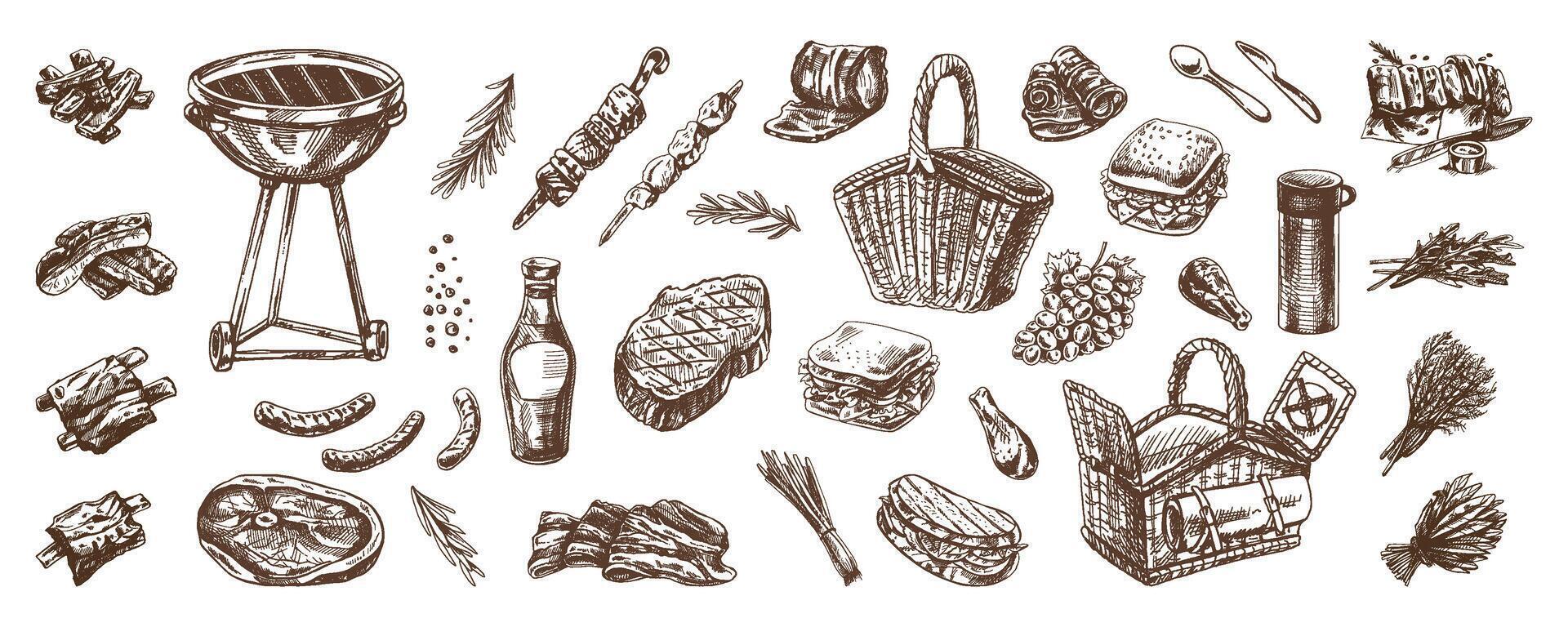 Set of hand-drawn sketches of barbecue and picnic elements. For the design of the menu of restaurants and cafes, grilled food. Doodle vintage illustration. Engraved image. vector