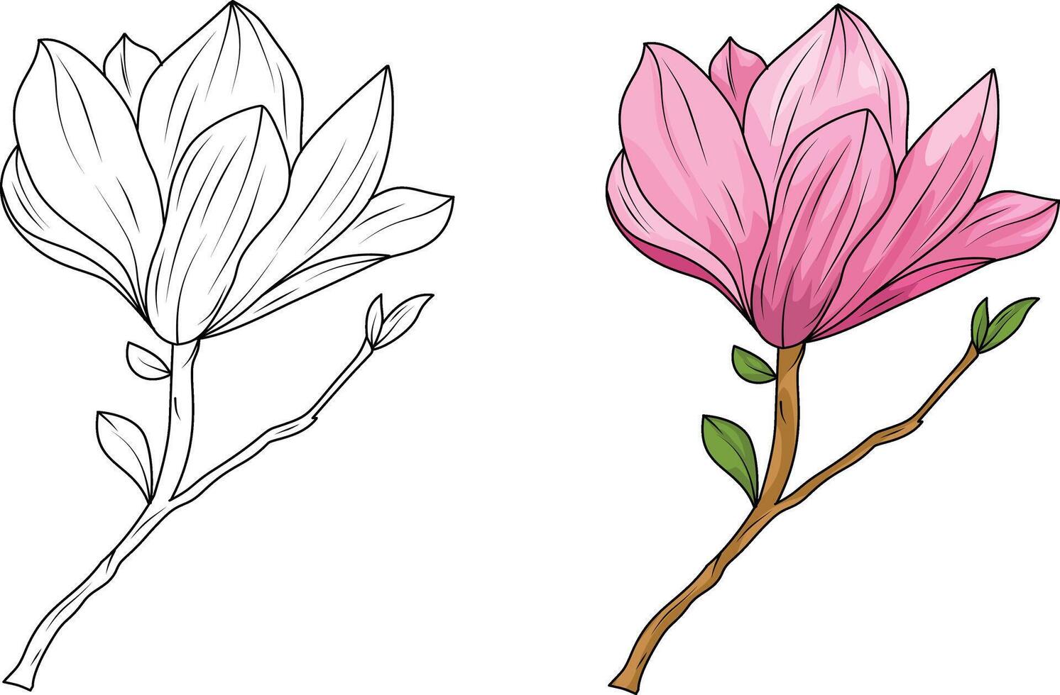 Set of blooming magnolia branches and magnolia flower sketch vector
