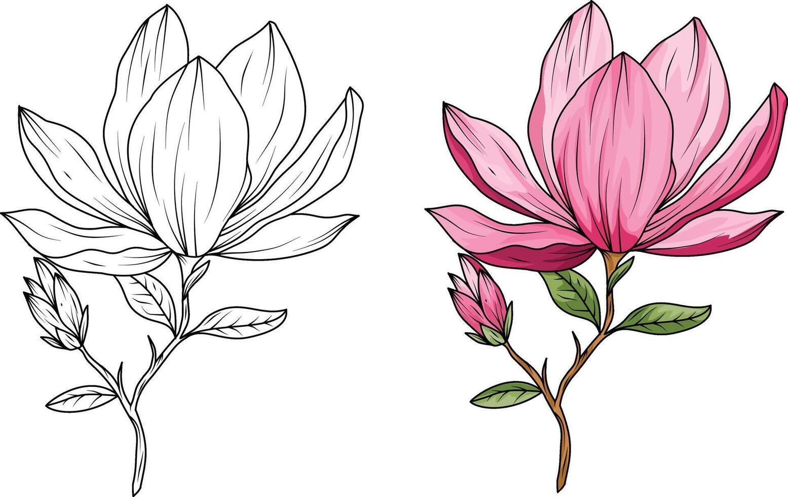 Set of blooming magnolia branches and magnolia flower sketch vector