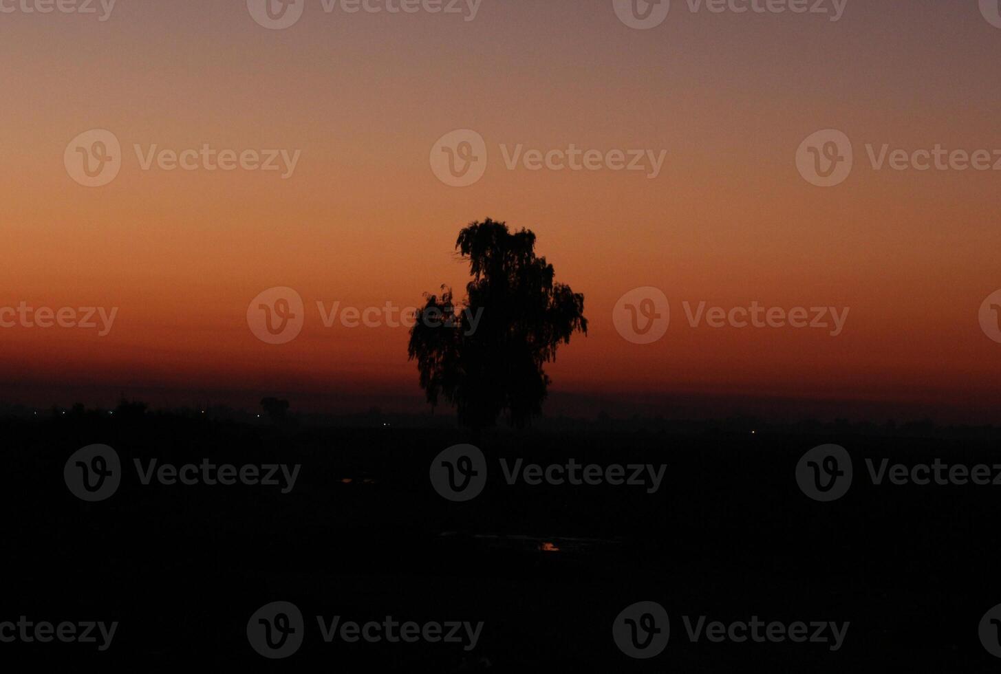 a lone tree stands in the middle of a field at sunset photo