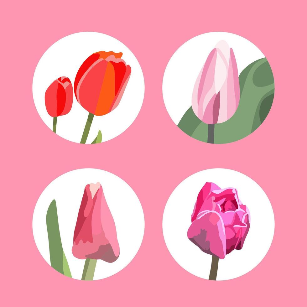 Illustration of a set of tulips. Tulips icons. vector