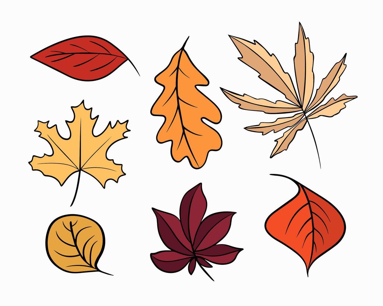 Illustration of autumn leaves set. vector