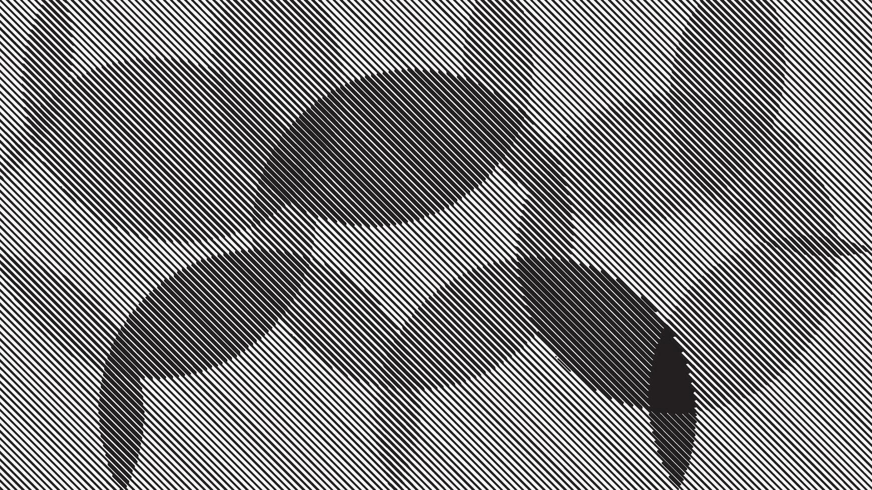 The monochrome Grunge texture. vector