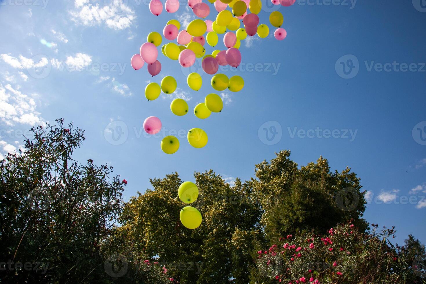 Balloons soar into the sky, released in a picturesque field. photo