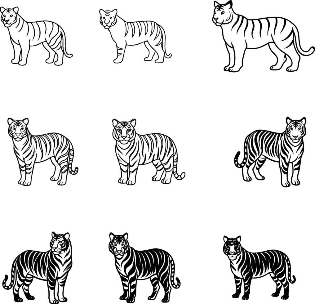 A set of tiger black and white outline vector