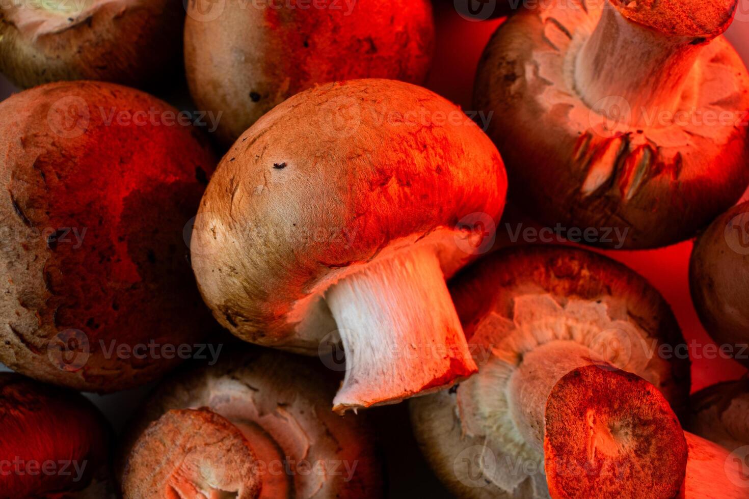 Rich brown mushrooms illuminated by a warm red glow, evoking a sense of mystery and enchantment. photo