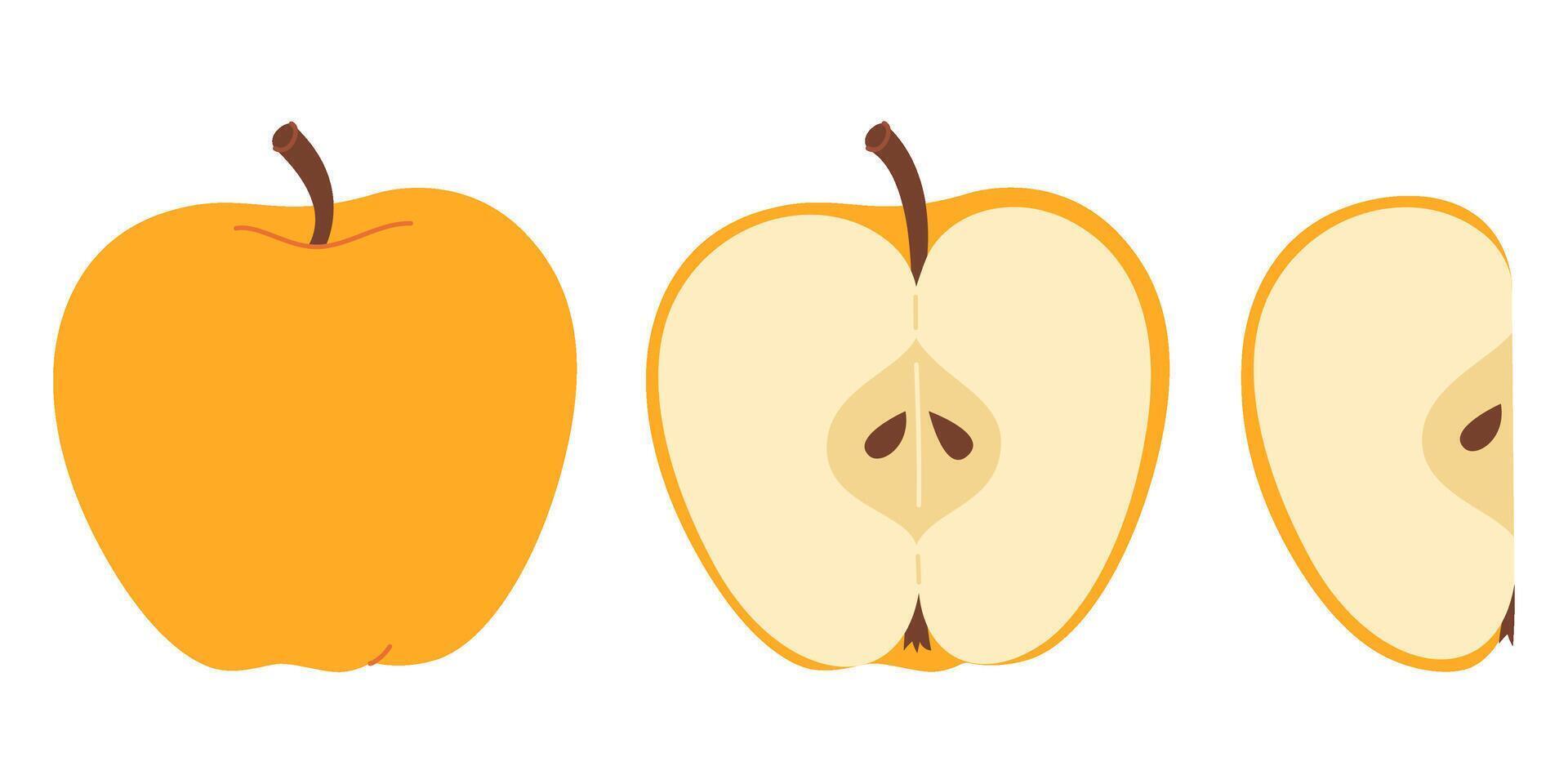 Yellow juicy apple hand drawn set. Whole, half, slice of fresh yellow apple fruit. Collection of whole apples and sliced apples. Flat style isolated on transparent background illustration vector