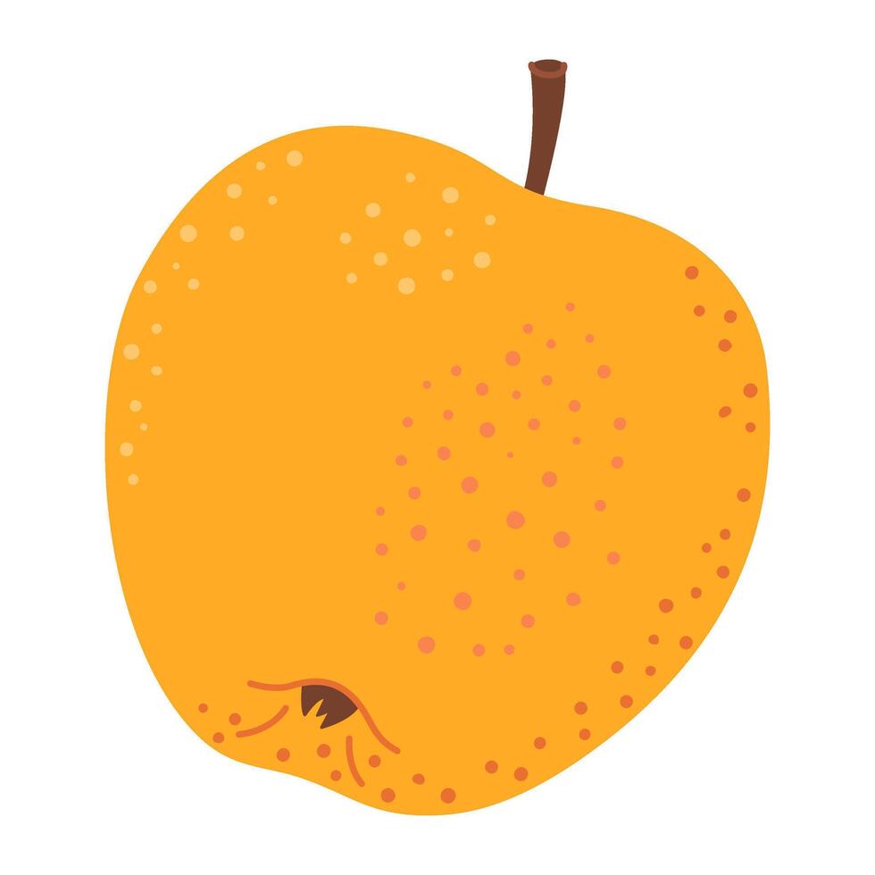 Yellow juicy ripe apple. Hand drawn fresh apple trendy flat style isolated on transparent background. Apple harvest. Healthy vegetarian snack, cut apple for design, infographic illustration vector