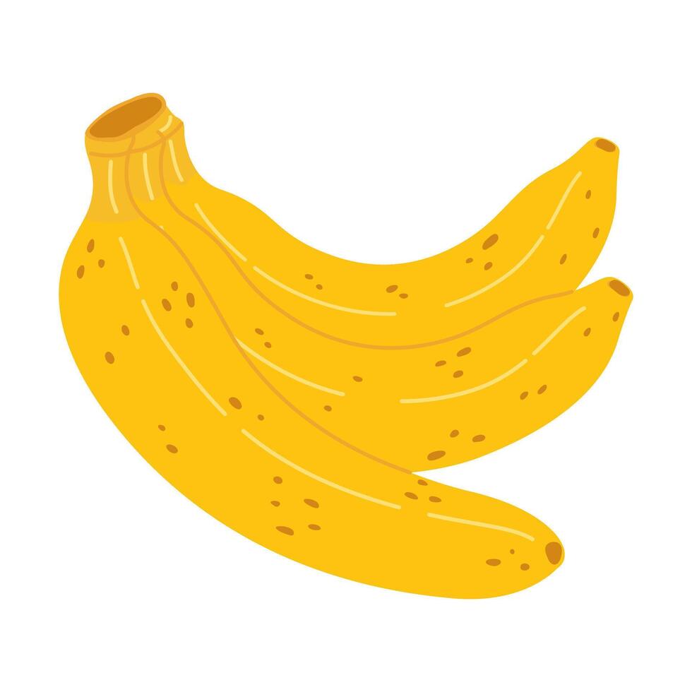 Cartoon Bananas icon. Hand drawn ripe bananas, trendy flat style yellow fruit. Tropical fruit banana bunch, snack or vegetarian nutrition. Isolated on transparent background illustration vector