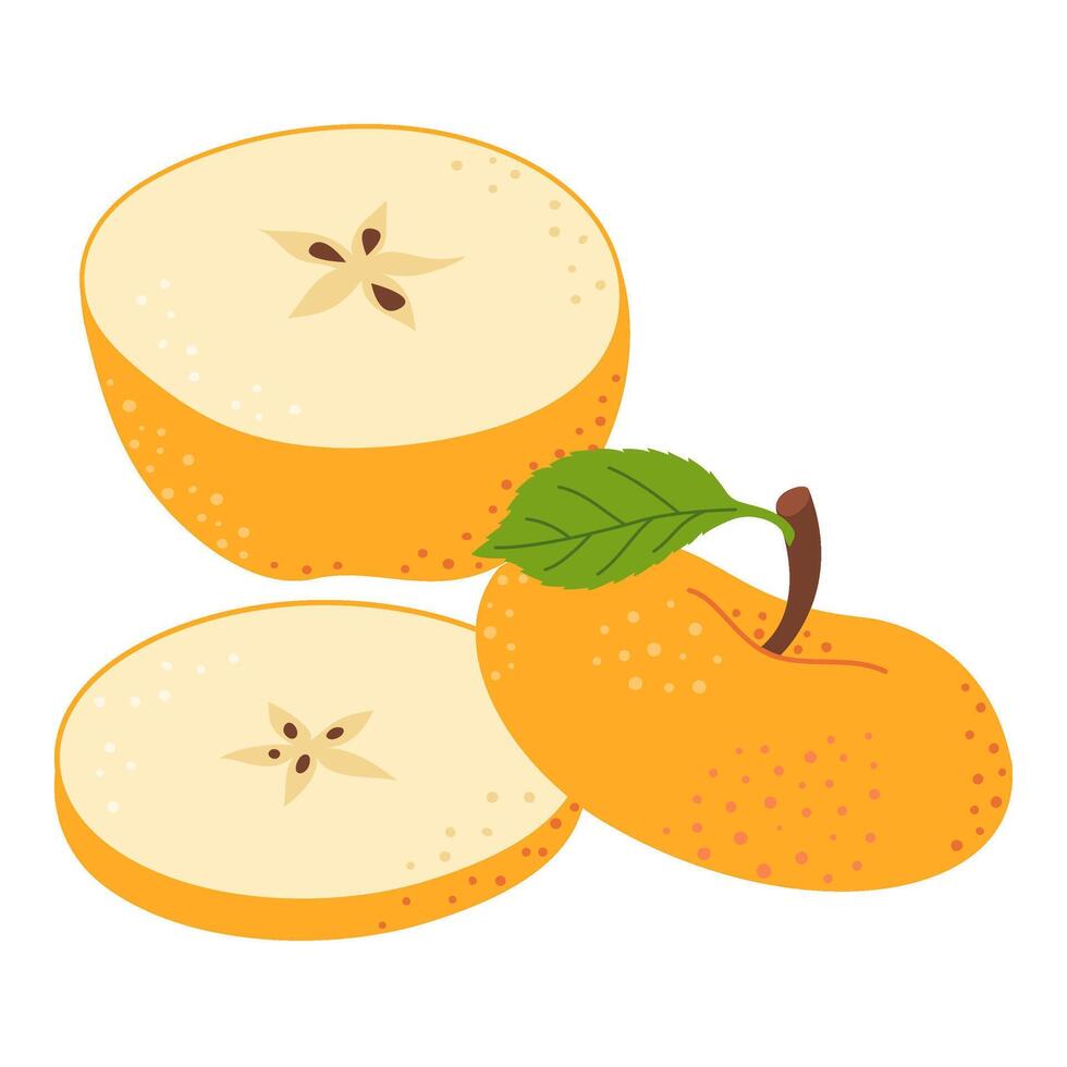 Cut yellow apple cartoon icon. Cross section of cut apple, slices fruit, Hand drawn trendy flat style isolated on transparent background. cut apple for design, infographic illustration vector