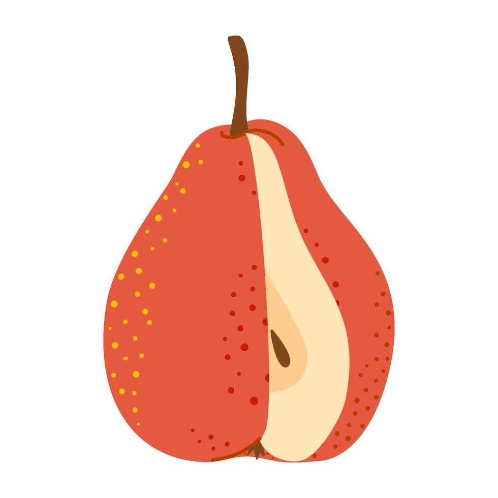 Fresh ripe chopped Pear. Slice of fresh red Pear. Healthy vegetarian snack, cut fruit for design or infographic. Hand drawn Trendy flat style isolated on transparent background illustration vector