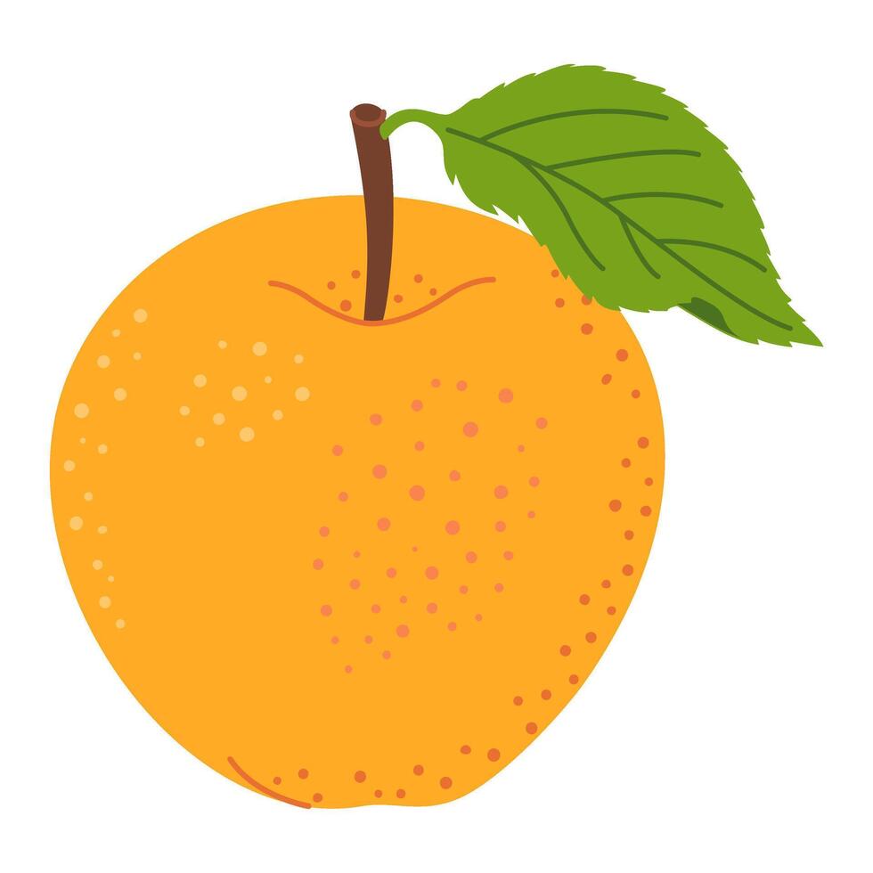 Yellow juicy ripe apple with green leaf. Hand drawn apple trendy flat style isolated on transparent background. Apple harvest. Healthy vegetarian snack, fresh apple for design, infographic. vector