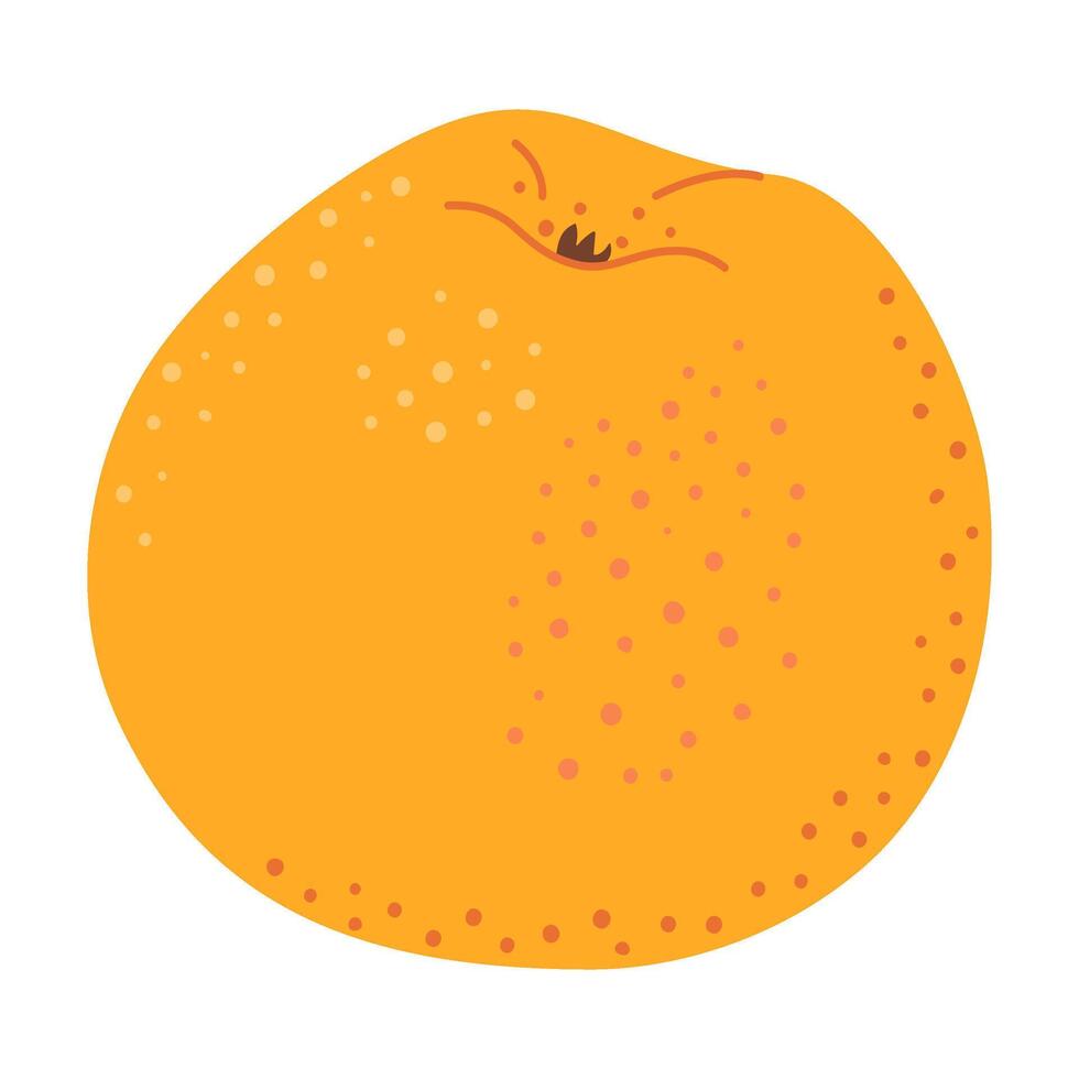 Yellow juicy ripe apple. Hand drawn fresh apple trendy flat style isolated on transparent background. Apple harvest. Healthy vegetarian snack, cut apple for design, infographic illustration vector
