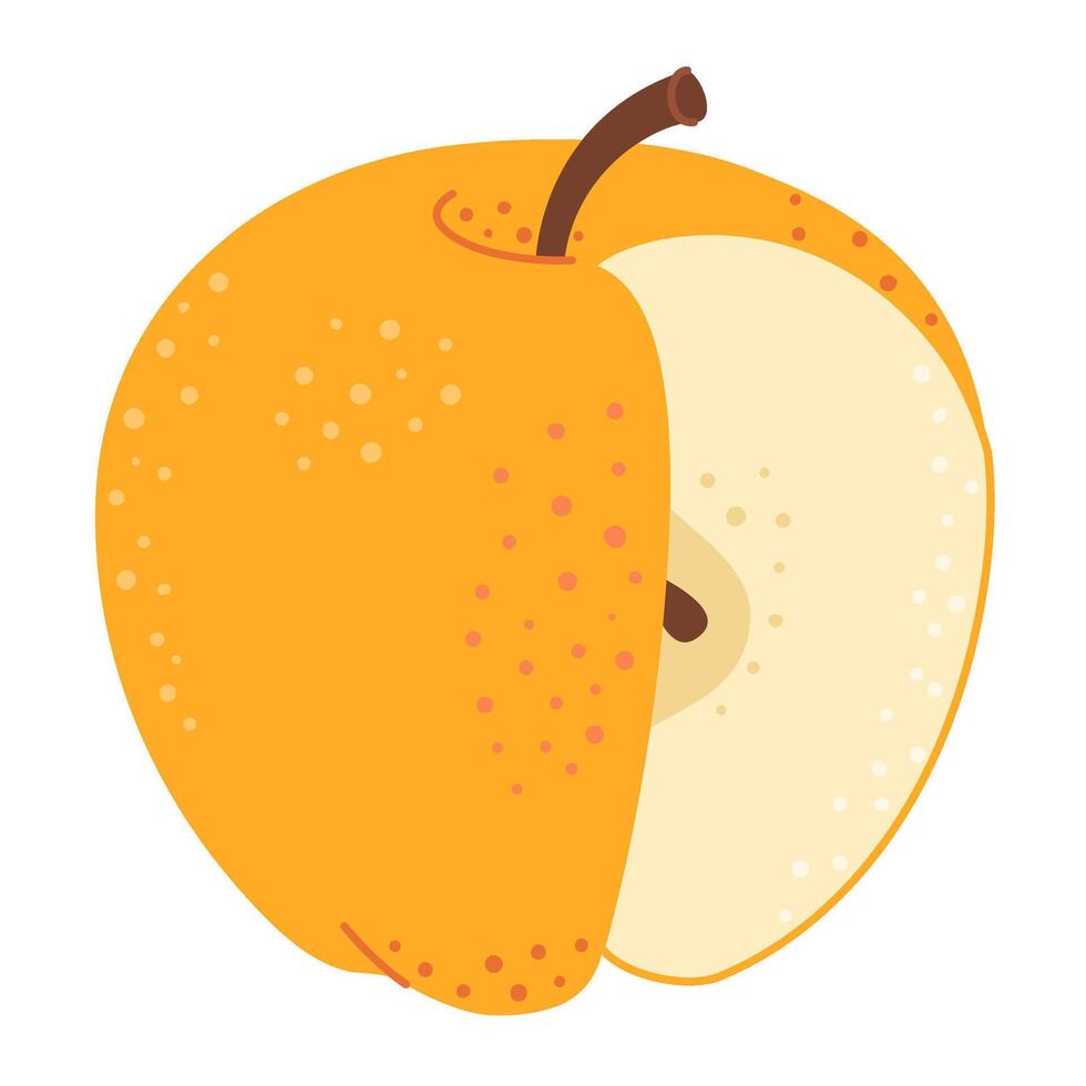 Cut yellow apple cartoon icon. Cross section of cut apple, slices fruit, Hand drawn trendy flat style isolated on transparent background. cut apple for design, infographic illustration vector