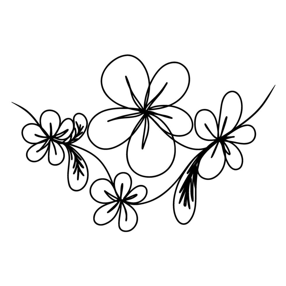 Continuous one line drawing of frangipani flower. graphic illustration vector