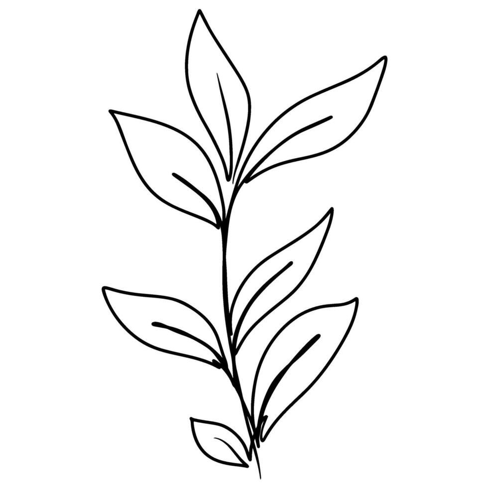 Continuous one line drawing of leaf branch. Doodle illustration vector