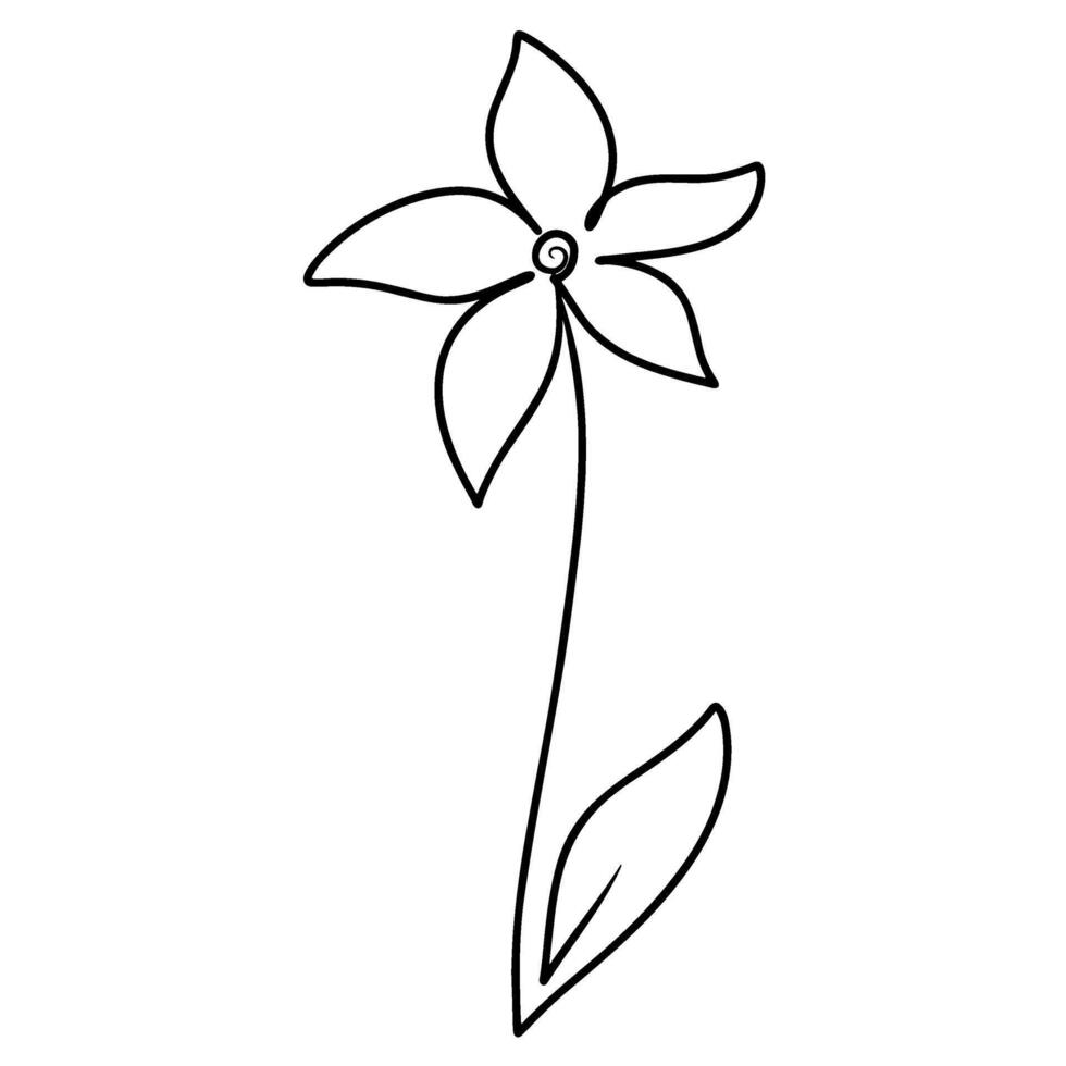 Continuous one line drawing of flower. graphic illustration vector