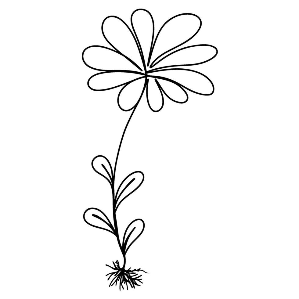 Continuous one line drawing of flower. graphic illustration vector