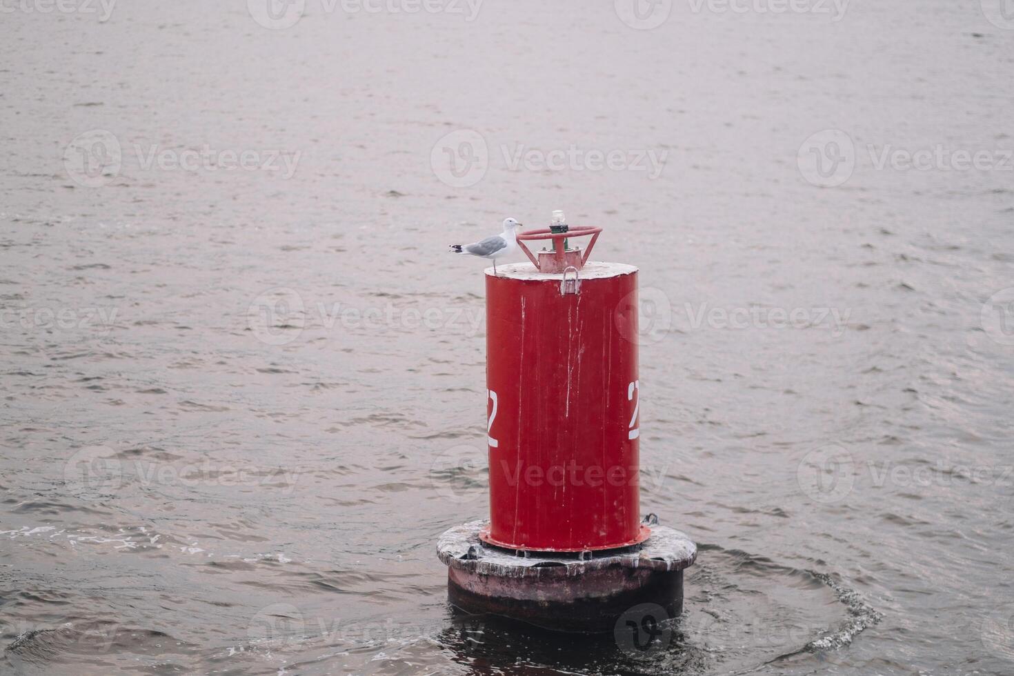 a buoy floating on the water, a seagull is sitting on it photo