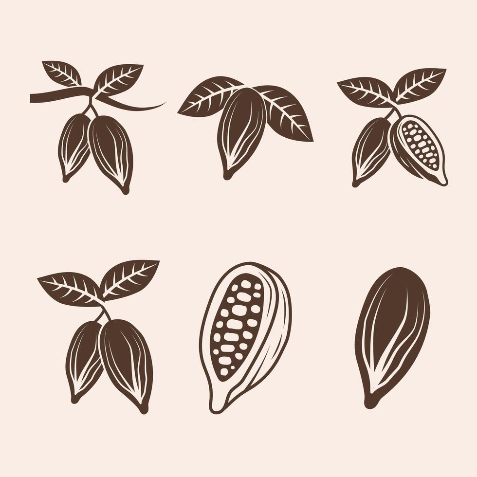 Cocoa icon set. Cocoa beans, leaves isolated on white background. vector