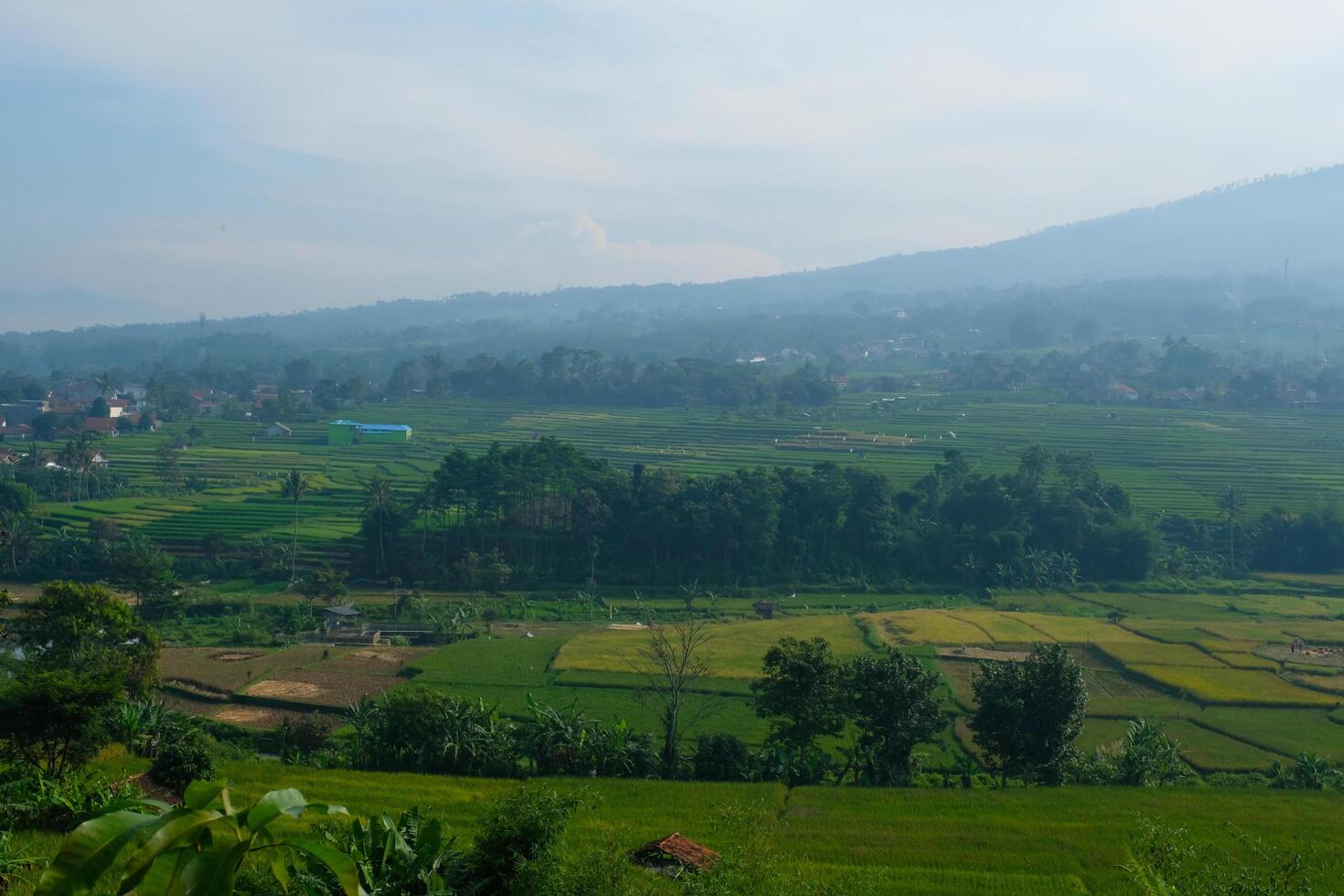 The silhouette of Mount Manglayang when the weather is foggy. Textured Background of Mountains. Graphic Resources. Industry Agricultural Photography. Panoramic landscape. Nature Photography Concept. photo
