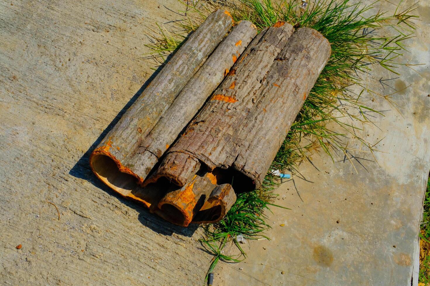 Texture and Background Photography. Photo of the texture of peeled tree bark. A whole tree bark that is peeled and dried in the sun on the side of the road. Bandung - Indonesia