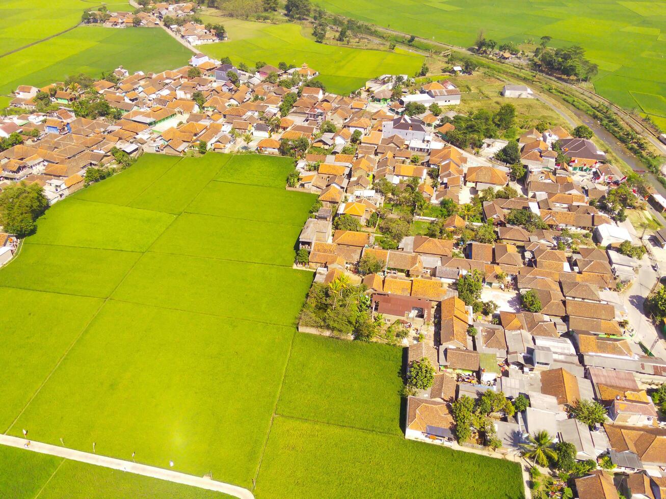 Settlements and rice fields. Aerial drone shot of landscape view of Green grassy rice field with residential areas at the foot of Mount Pangradinan - Bandung, Indonesia. Aerial View of Lush Rice field photo