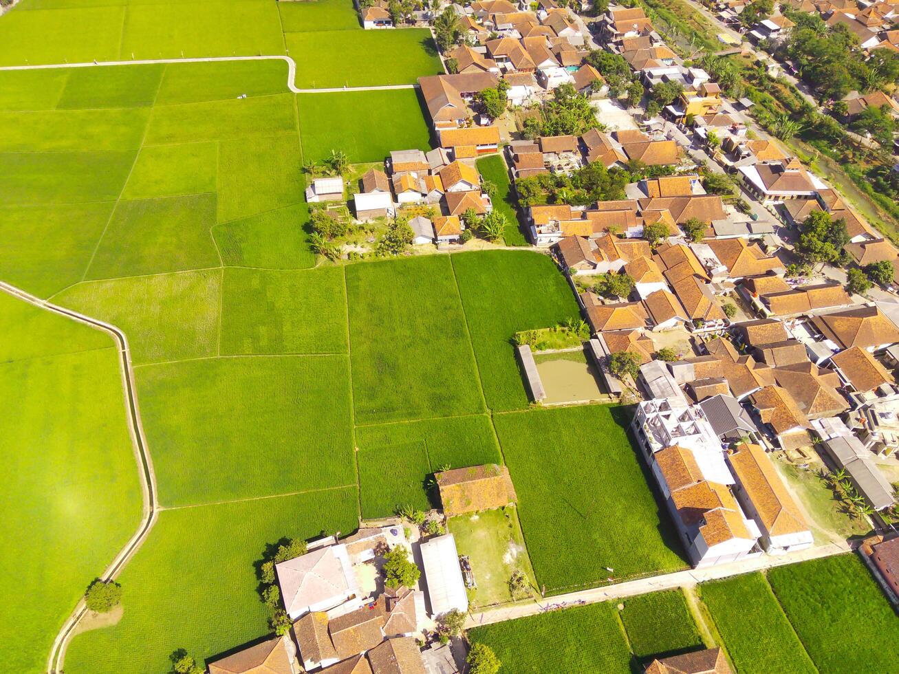 Settlements and rice fields. Aerial drone shot of landscape view of Green grassy rice field with residential areas at the foot of Mount Pangradinan - Bandung, Indonesia. Aerial View of Lush Rice field photo