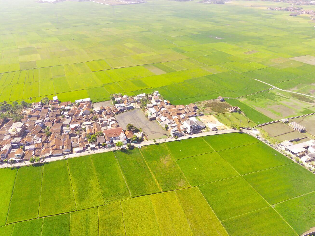 Aerial Photography. Aerial Drone view of landscape view of residential district on the edge of rice fields in Gunung Pangradinan, Cikancung - Bandung, Indonesia. View of the residential district photo