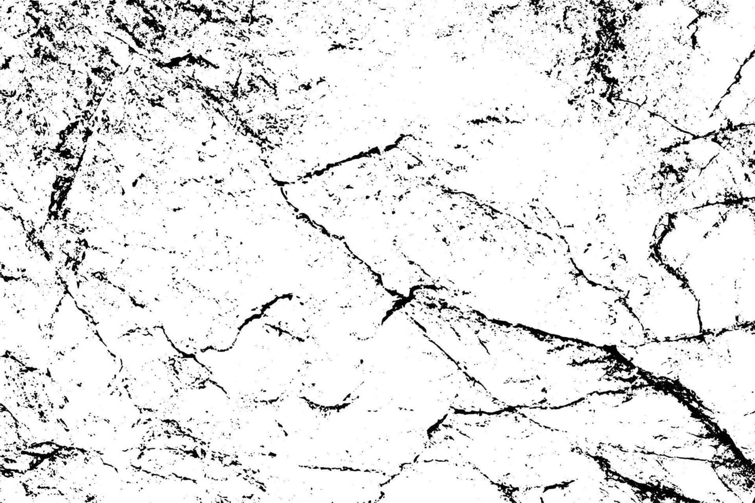 Cracks rock texture white and black. vector