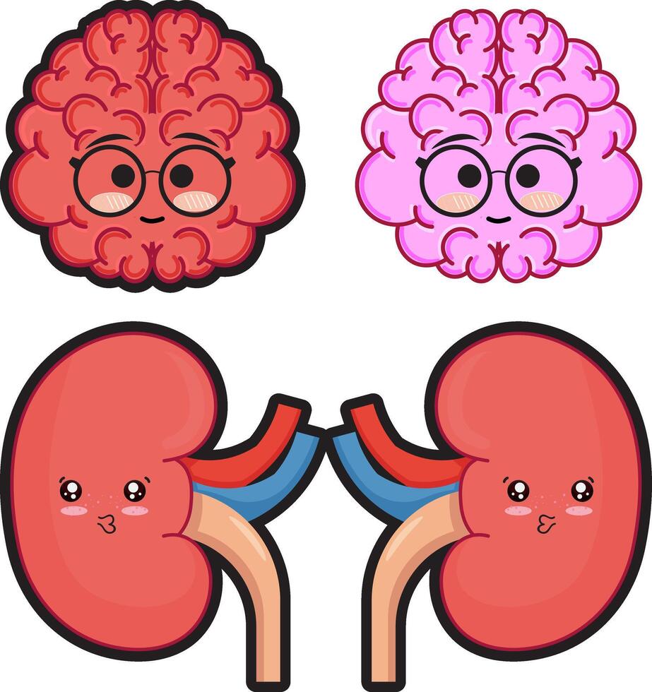 Cute Brian and Kidney Sticker vector