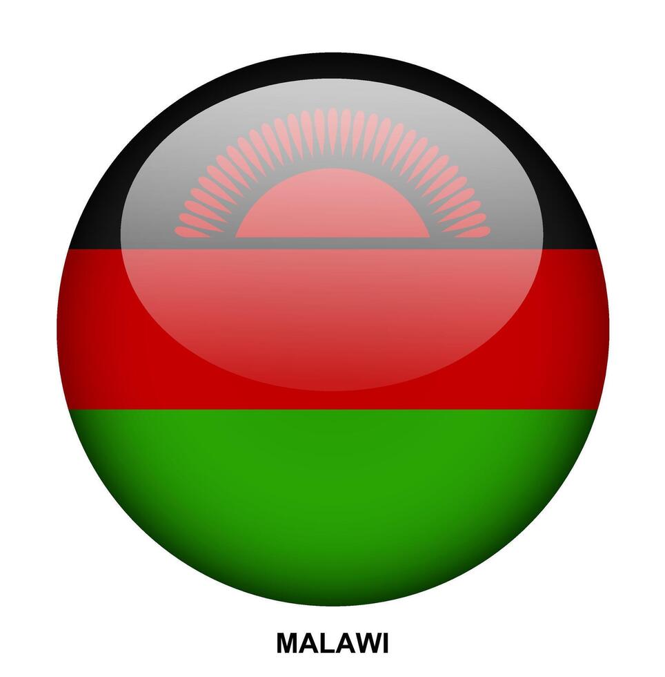 MALAWI flag button on white background vector