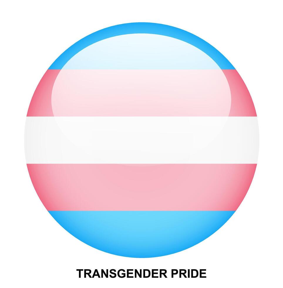 TRANSGENDER PRIDE flag button on white background vector