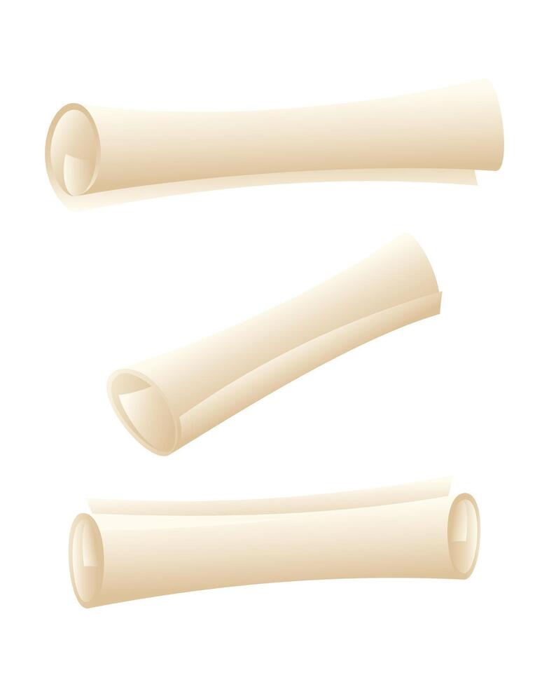 Rolled paper scroll in different positions, isolated on a white background. Template for graduation diploma, certificate of education, antique letter on parchment, ancient magic manuscript. vector