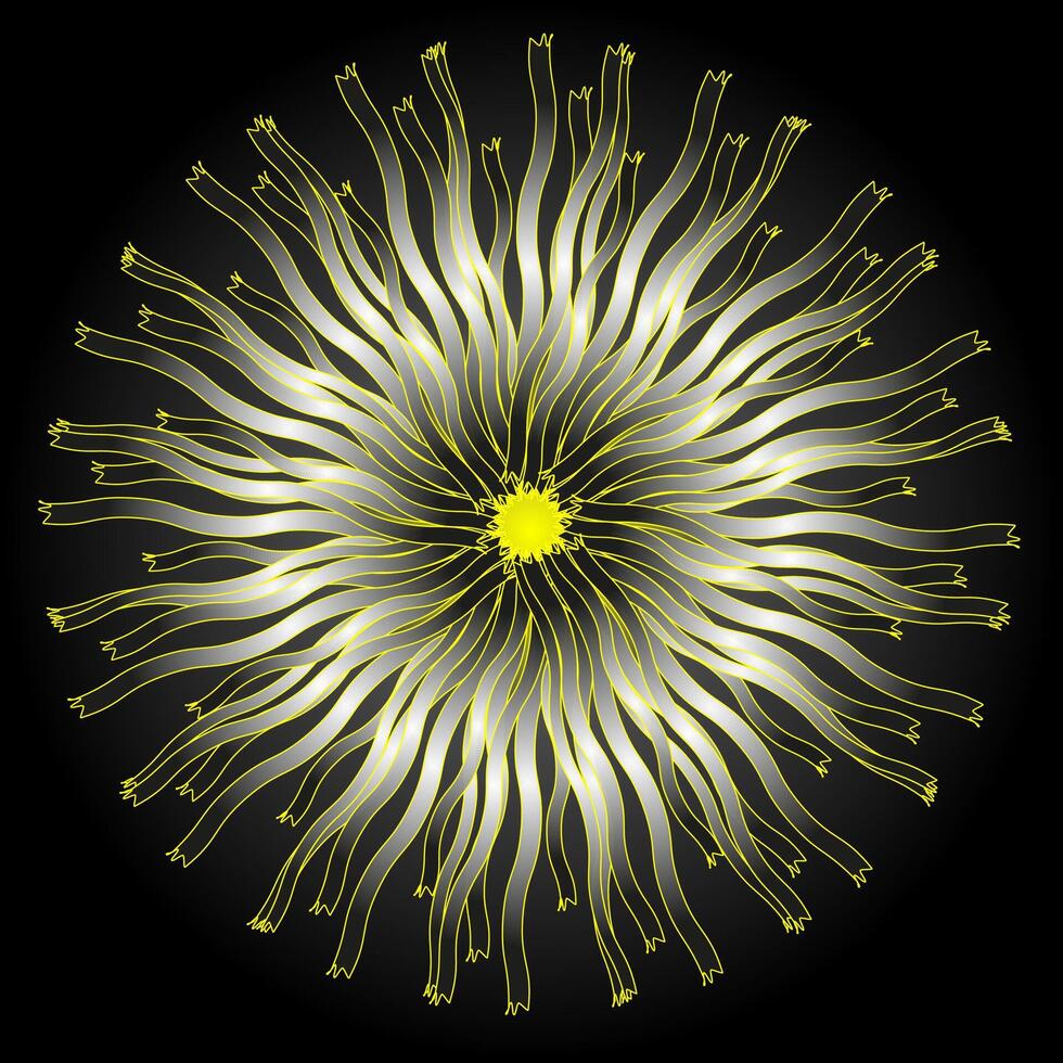 Round abstract white pattern on a black background vector