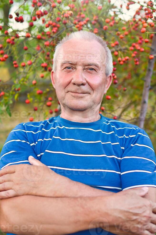 Portrait of a handsome old man having a rest on a sunny summer day. Healthcare, resort. Happy retirement. photo